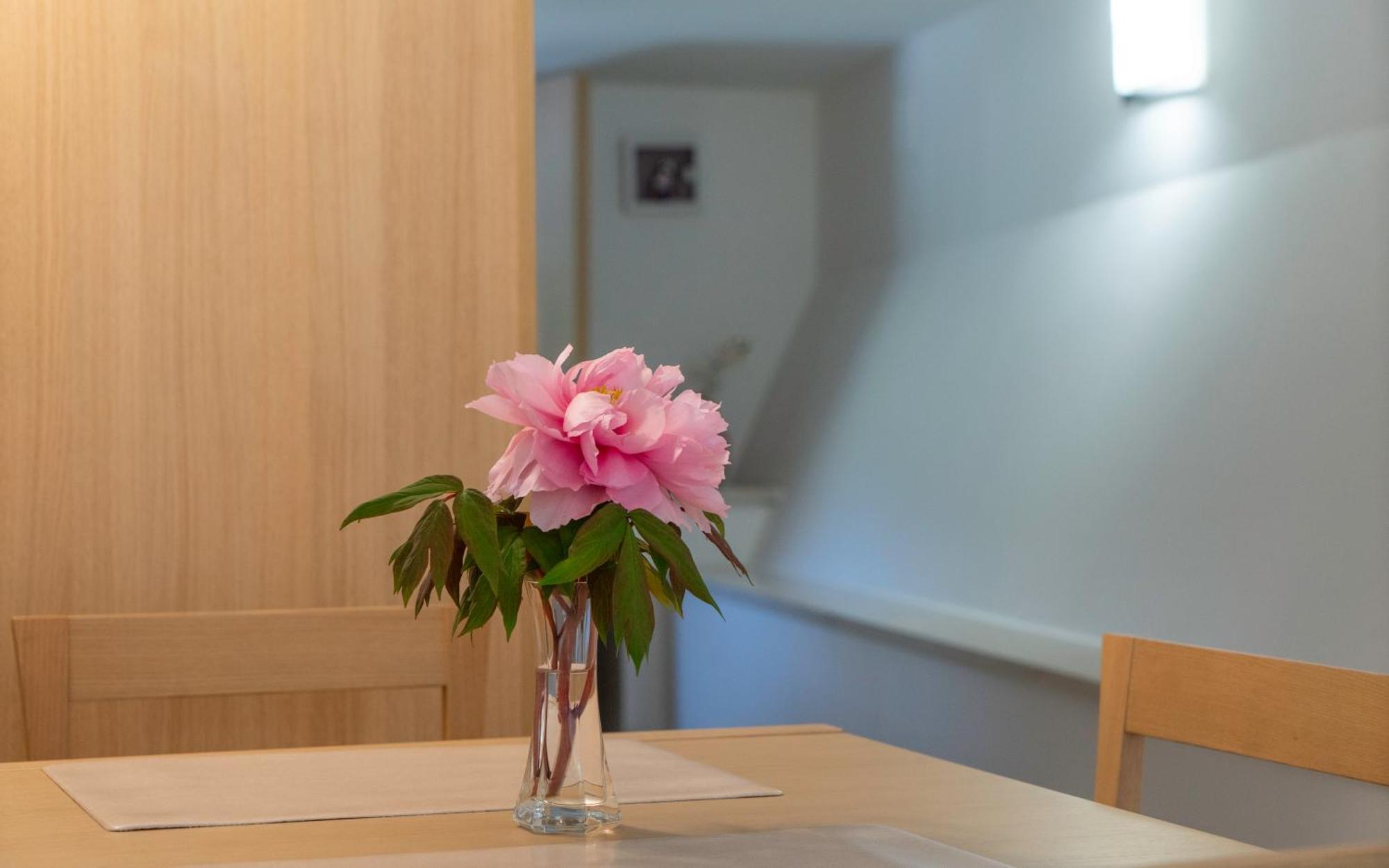 Apartments Lila ツレス 部屋 写真